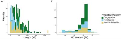 Characterizing conjugative plasmids from an antibiotic-resistant dataset for use as broad-host delivery vectors